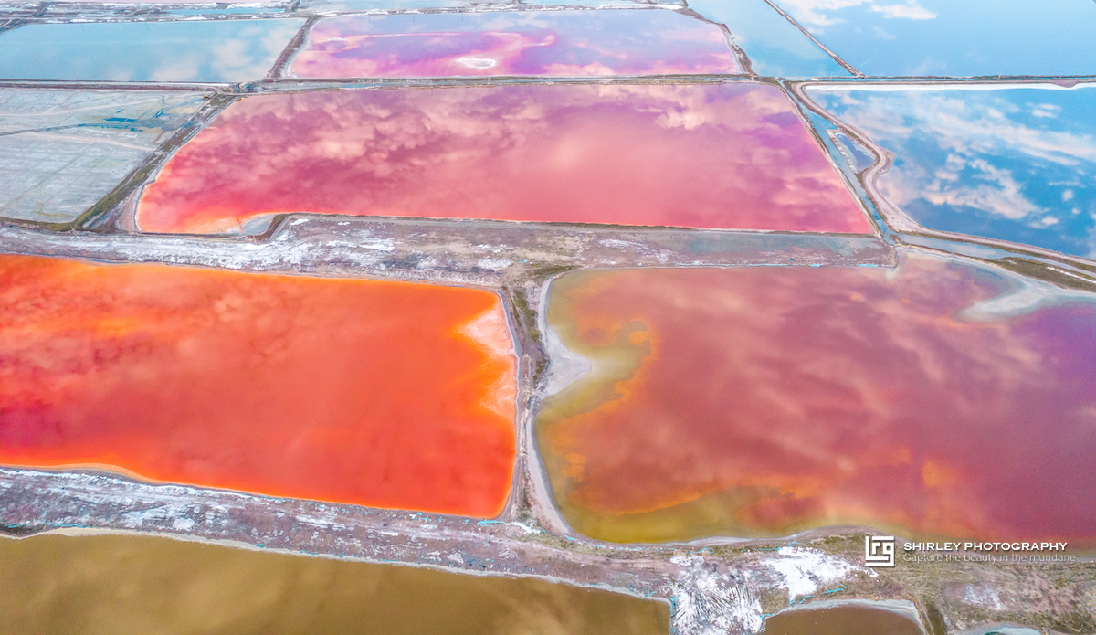 被中国人吃到濒临灭绝的食物,被中国人吃了千年不灭绝的食物