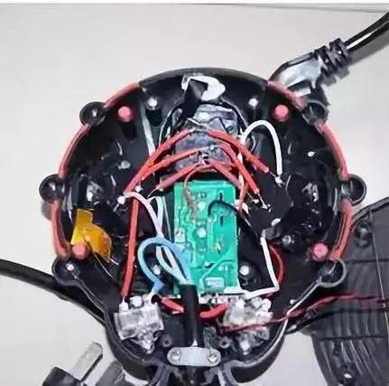 女子在家门口捡到瓢虫,家门口捡到两个瓢虫