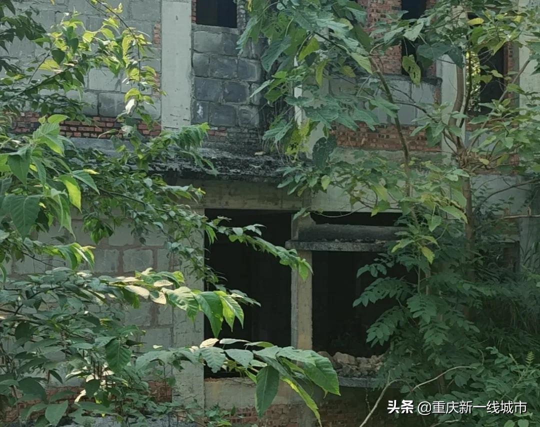 荒野求生之神秘洞穴,荒野求生神秘洞穴