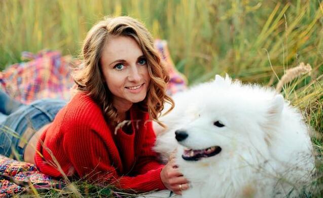 萨摩耶吃哪种牌子的狗粮最适合,萨摩耶鲜食狗粮怎么选