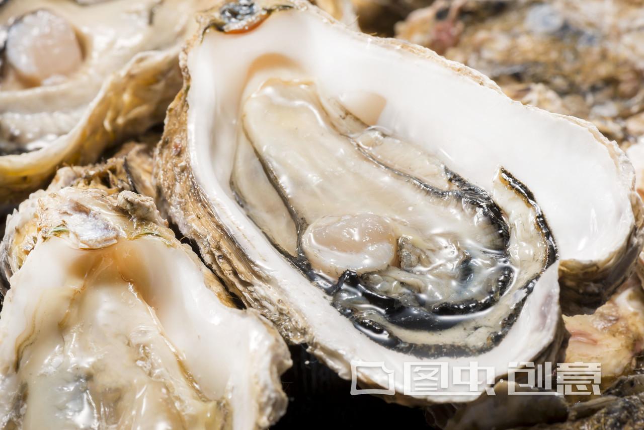 煮生蚝好吃的方法,煮生蚝正确的吃法