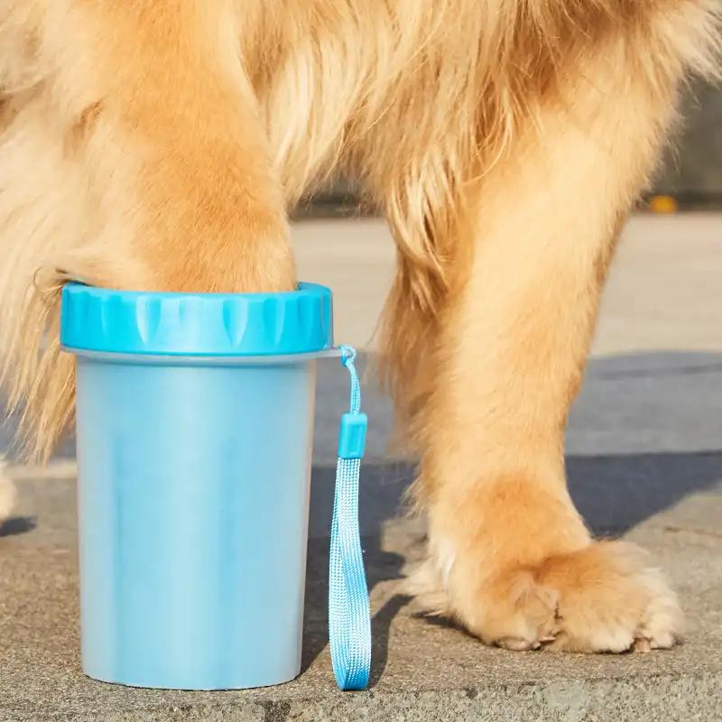 摸摸狗头在狗的眼里意味着什么,人摸狗的头狗在想什么