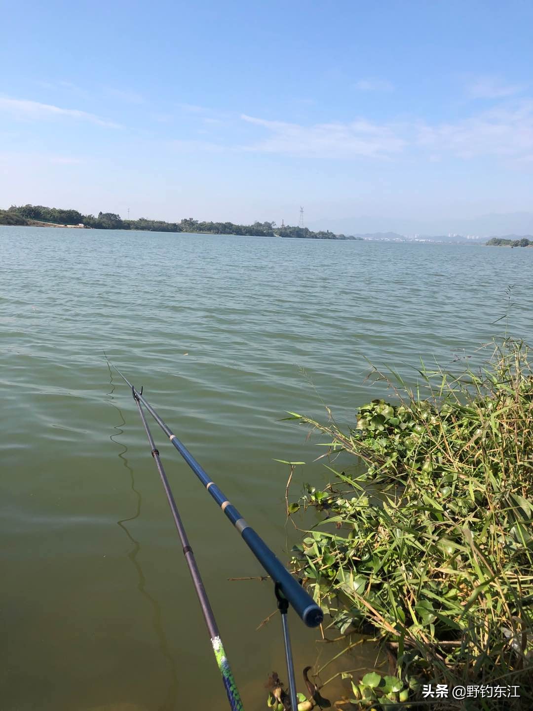 鱼竿和我的匆匆那年