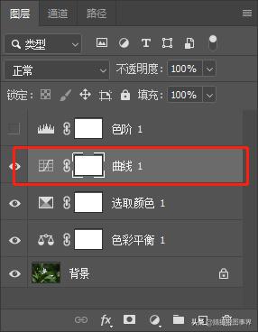 春天拍摄的绿叶怎么拍,春天的花朵怎么拍摄照片