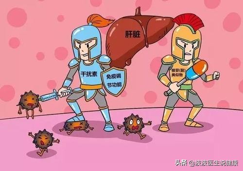 真菌细菌和病毒的区别表格,真菌细菌病毒感染的区别