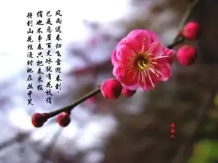 庚子日柱2023年癸卯年运势,癸卯年2023年哪个月出生最好