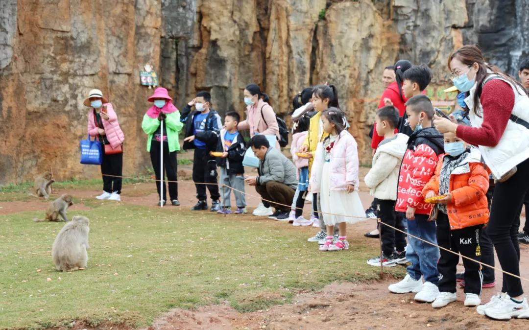 虎虎生威虎年潮品,虎虎生威新春主题活动