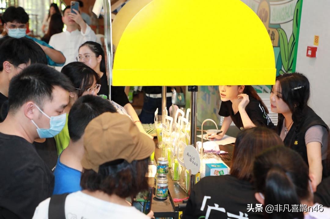 凉茶文化节,白云山星群夏桑菊凉茶节在哪