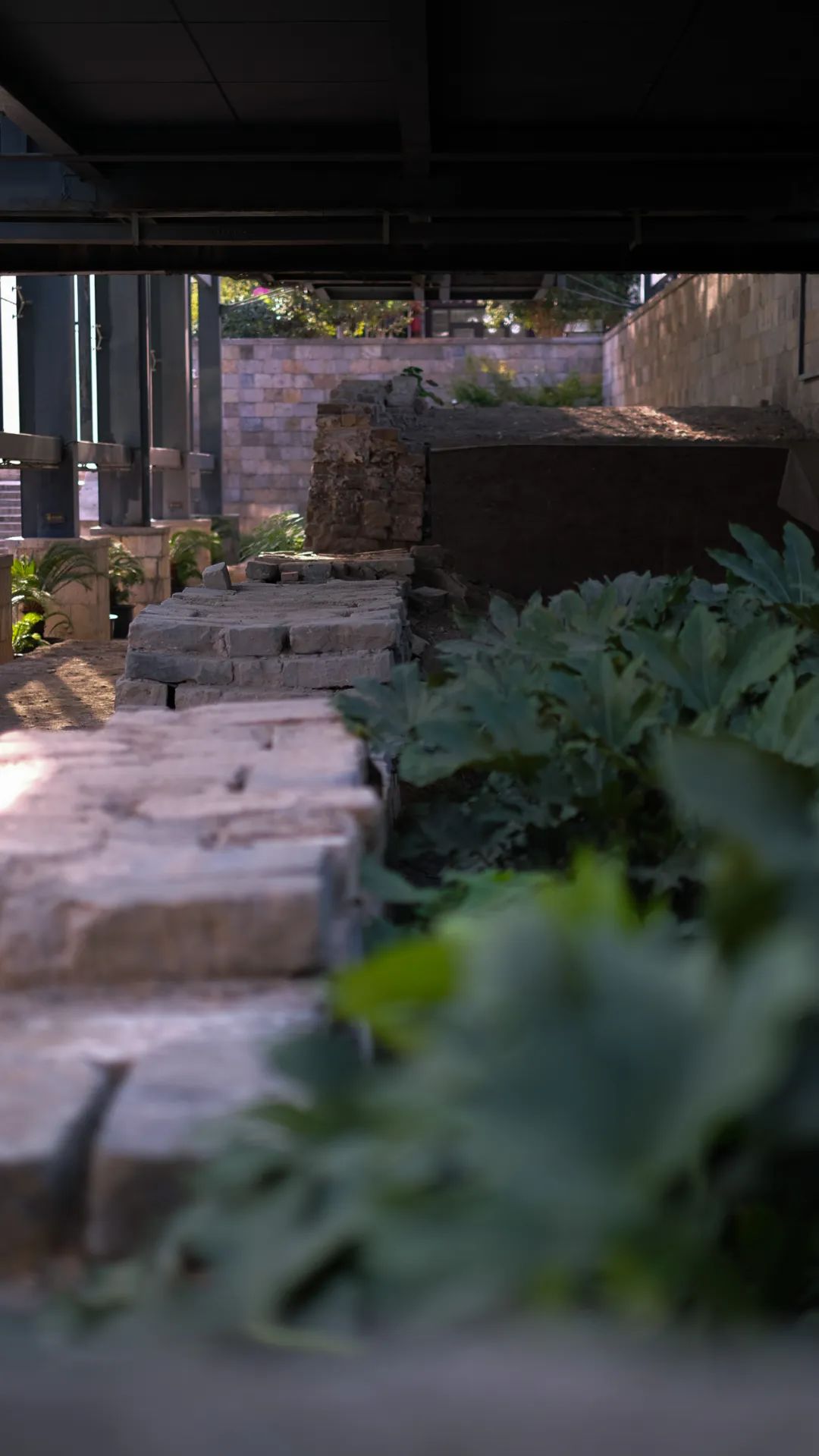 徐州春游野餐的好地方推荐,徐州最新春游推荐