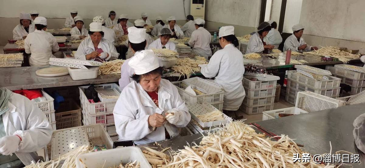 记者观察|合伙人思维为乡村“招贤纳士”！沂源县南鲁山镇创新做法破解乡村振兴发展困局