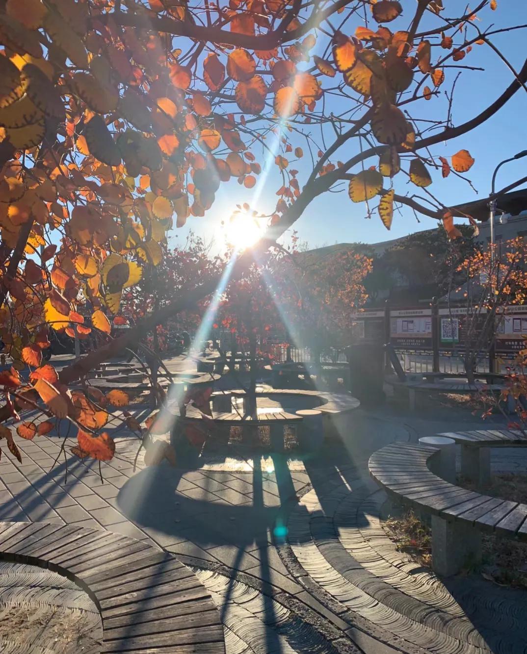 爱你不止眼前的苟且还有诗和远方,不止眼前的苟且还有诗和远方许巍