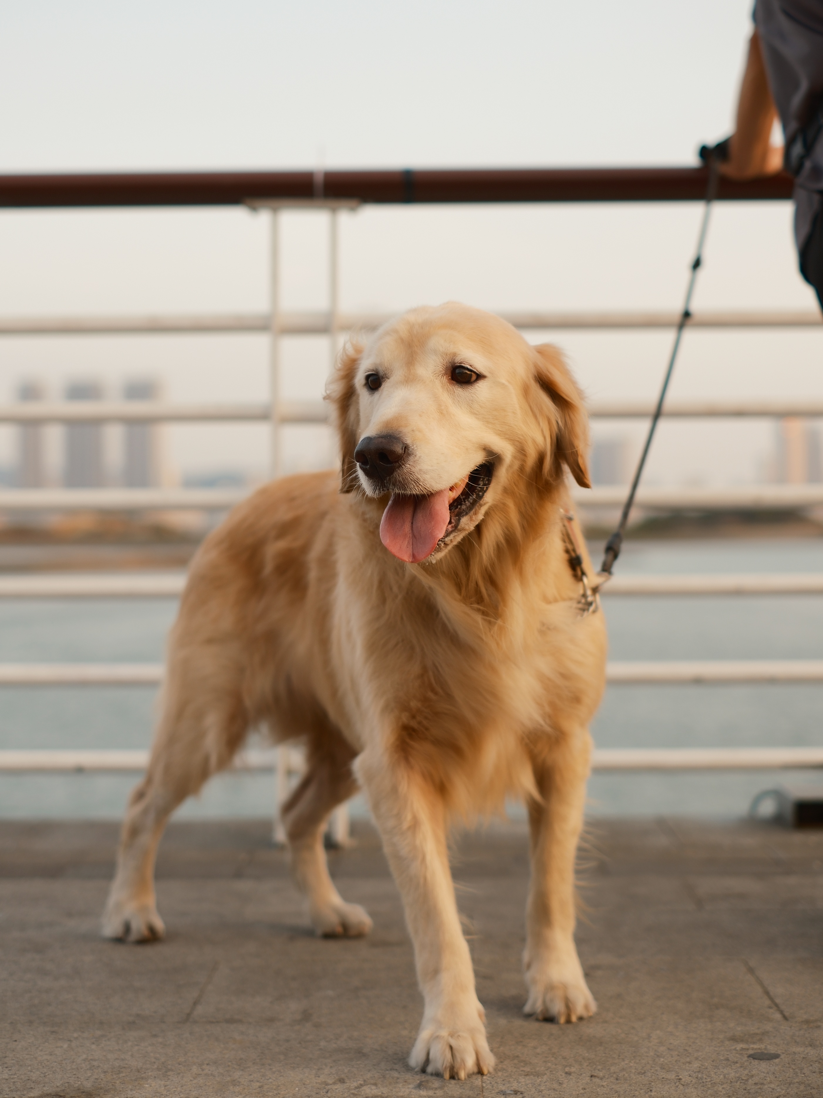富士颜色最好看的相机,富士相机胶片直出推荐