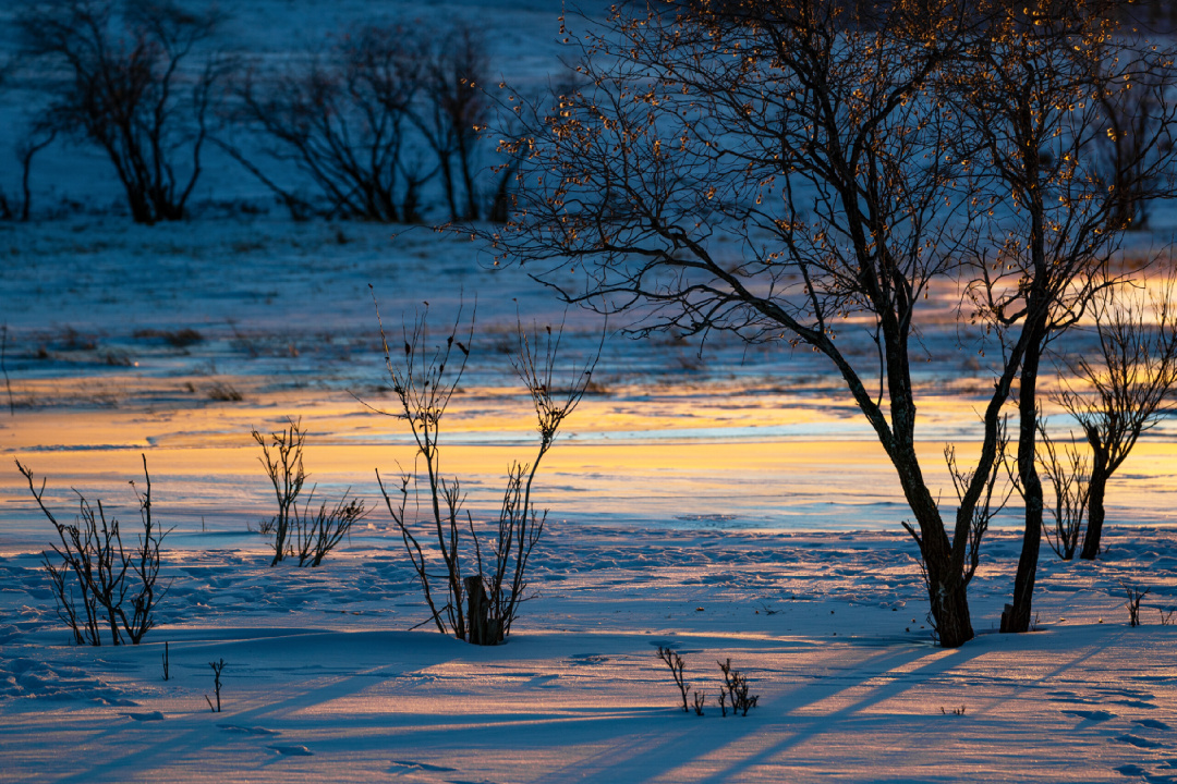 漫看四五卷，清煮梅花香！冬天到底有多美？诗词会给你答案