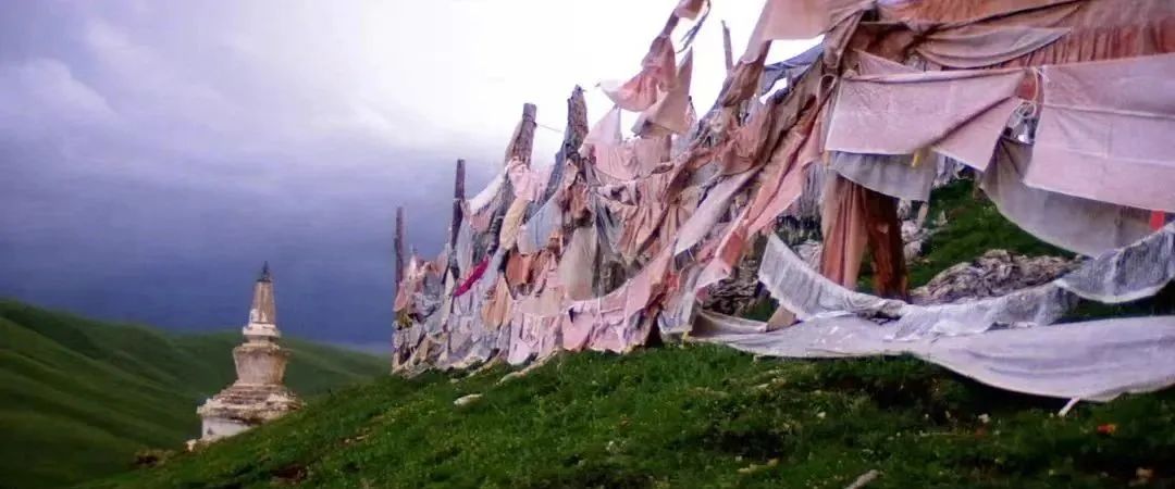 一代宗师退出队伍,一代名导林天师