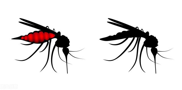 晚上开空调房间有蚊子怎么办,空调里面没有蚊子怎么回事