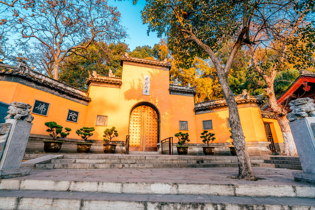 春分吃这3种蔬菜最养人,春季养肝必吃的五种蔬菜