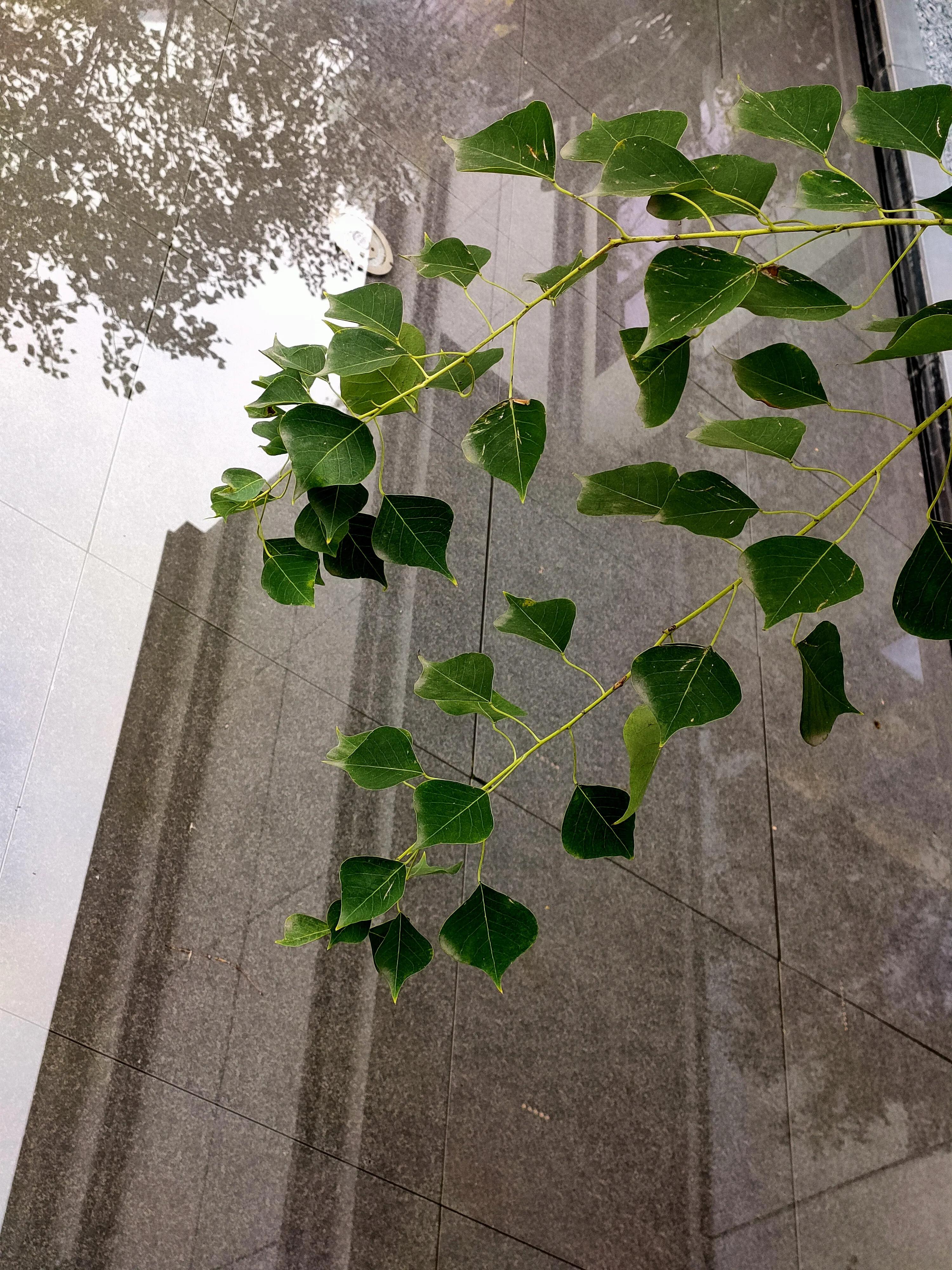 业主因疫情无法收房,关于疫情期间业主被减租问题