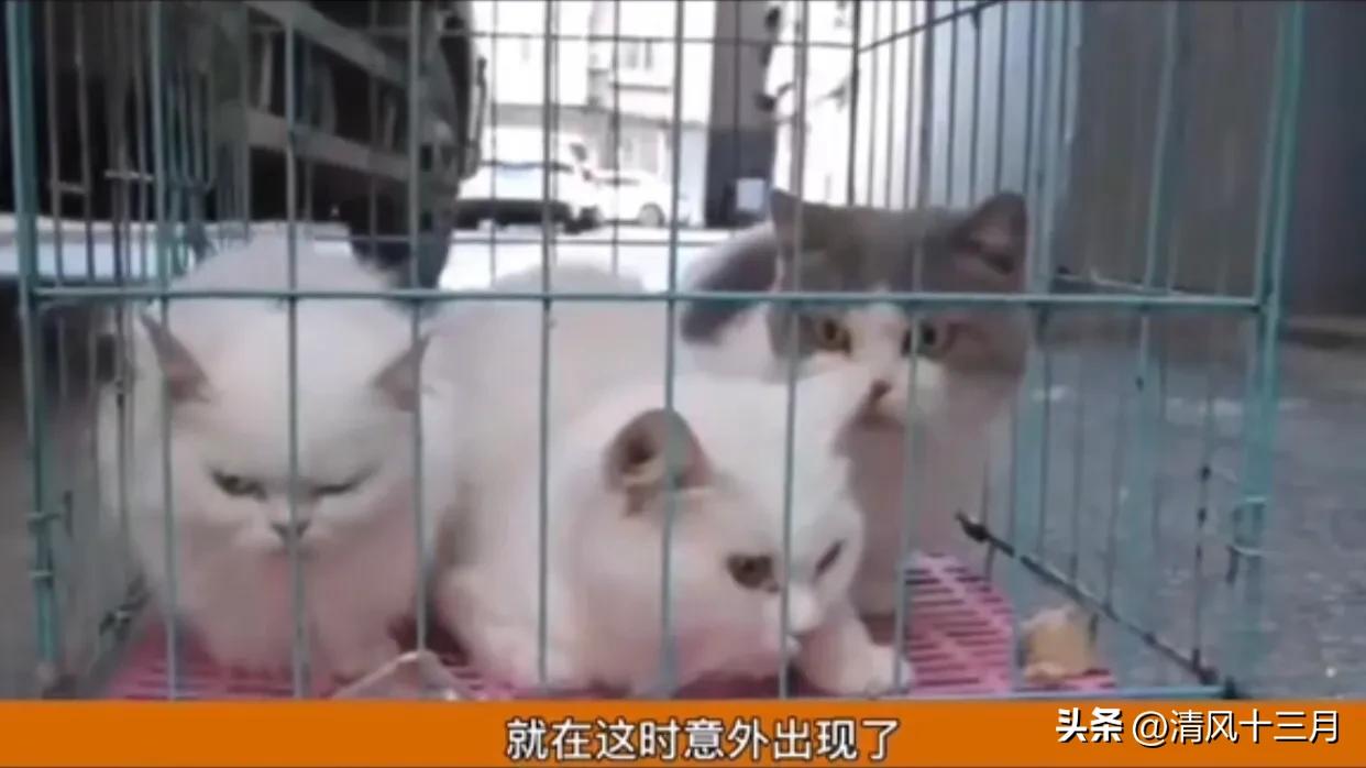 出租房租客不搬离怎么办,房屋出租他不给租金又不走怎么办