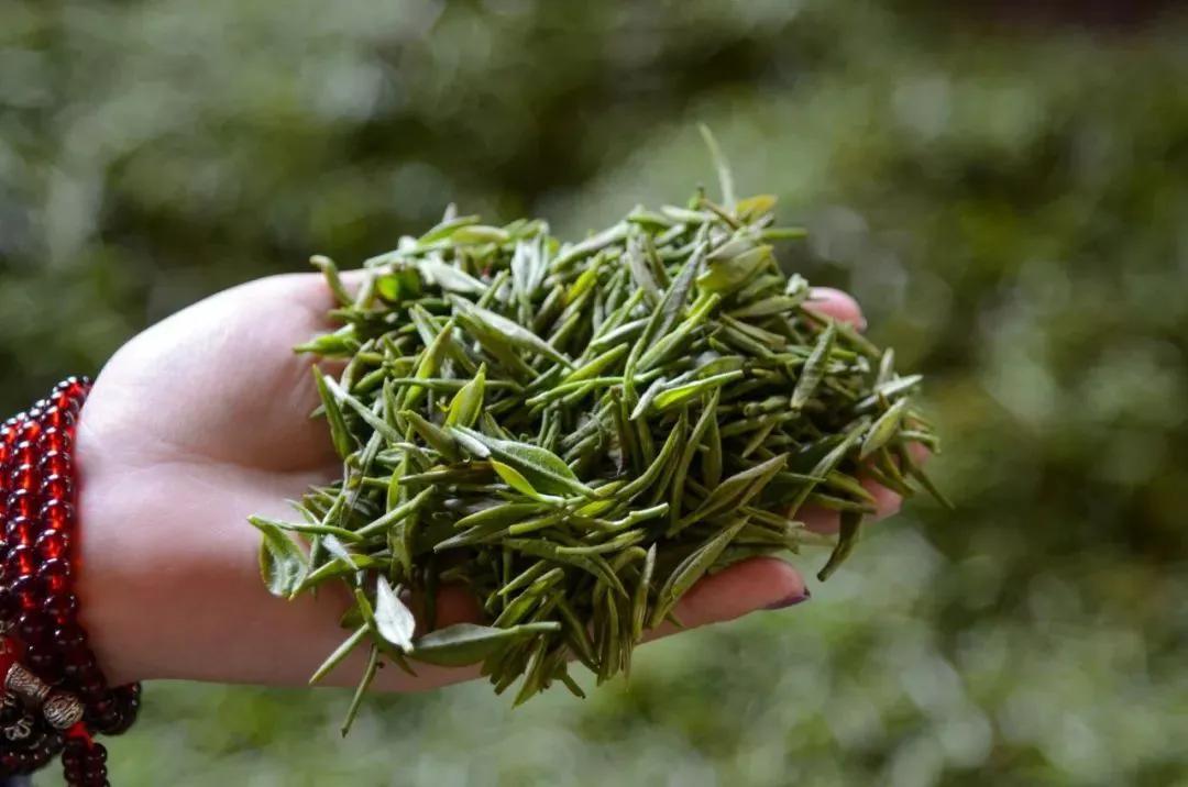 春季肝火旺喝什么茶好得快,肝火旺冬季适合喝什么茶