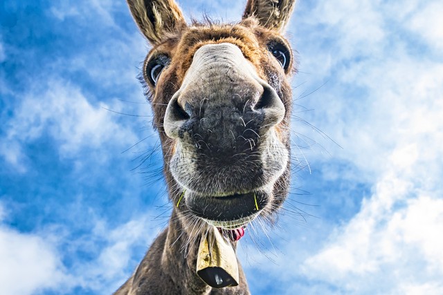 五岁那年我死了小说后续,五岁那年我死了全文结局