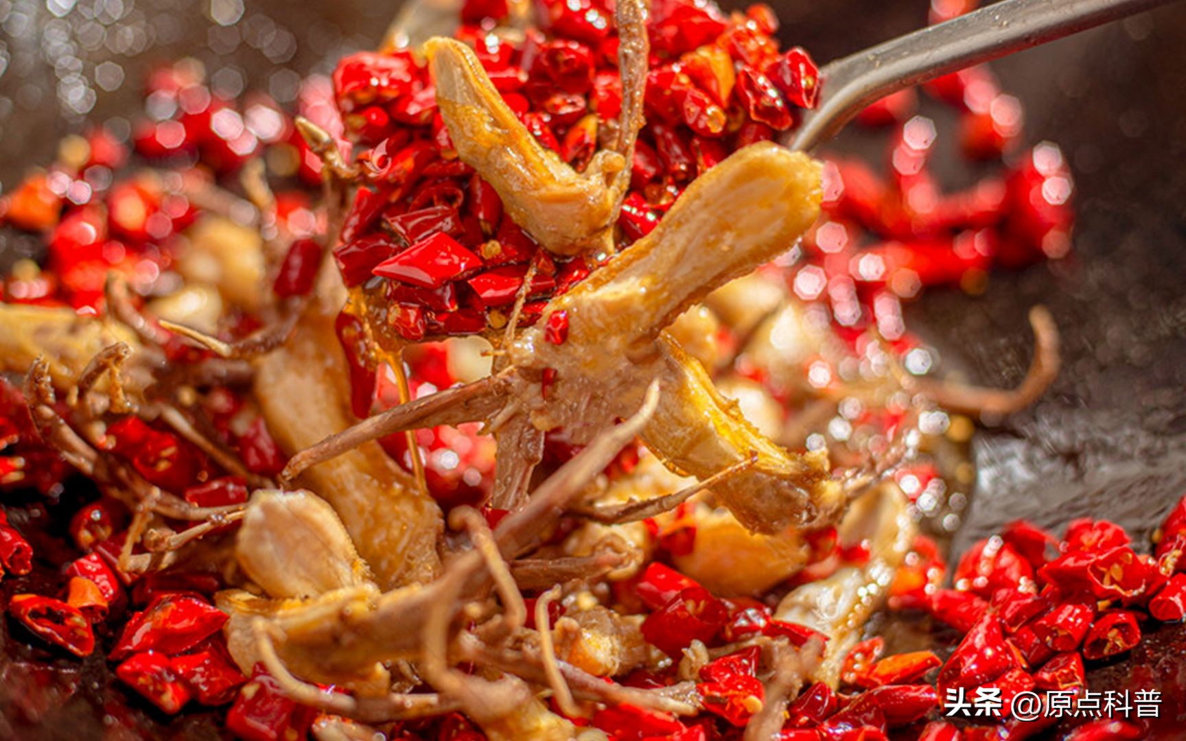 盘点外国人吃动物内脏,盘点人类不敢吃的七大外来物种