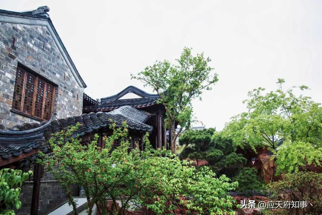 来南京不能错过的小众打卡地,南京江宁小众打卡点