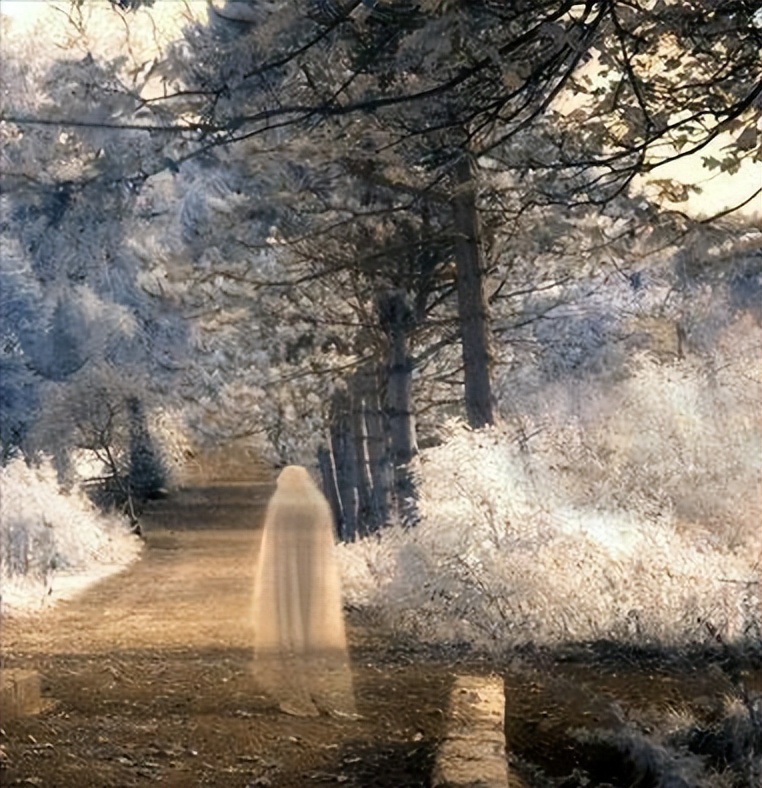 曾仕强讲鬼最容易找怎样的人,曾仕强认为鬼白天会出来吗