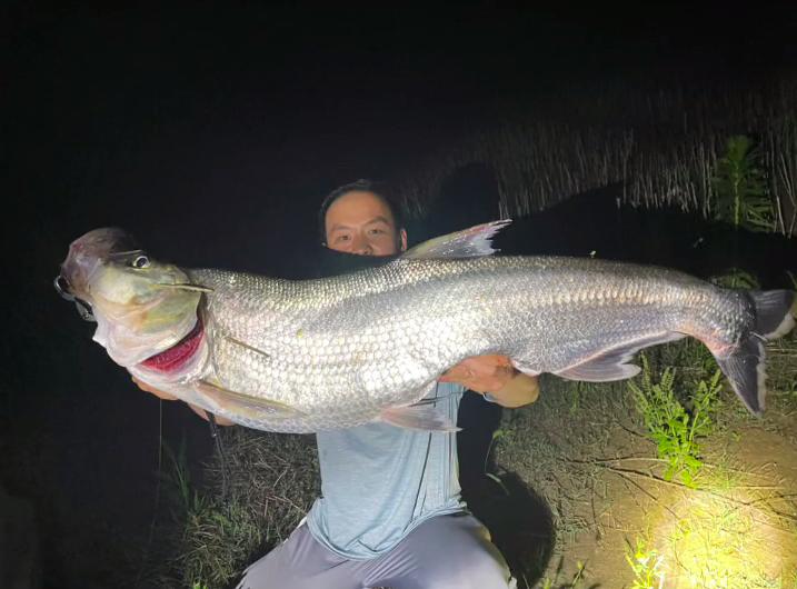 婀栧寳娉ラ硡鎵撶獫琚姄,婀栧寳娉ラ硡琚姄