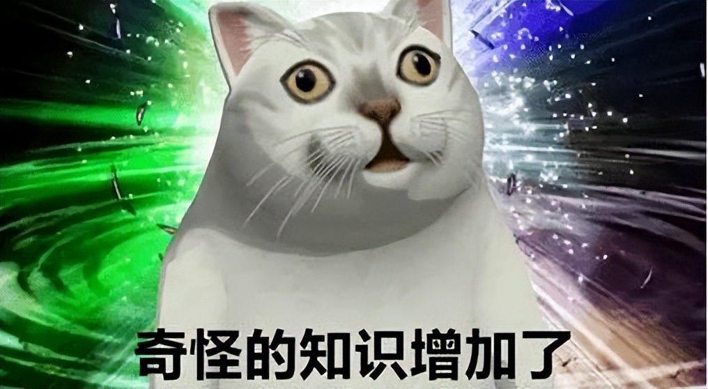 门兴对多特蒙德比分预测,门兴vs多特蒙德世界杯