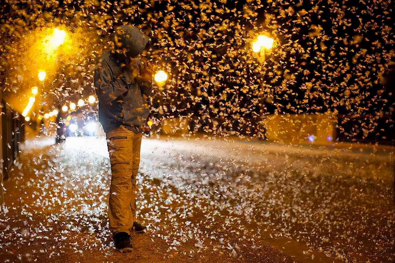 昆虫奇葩交配繁衍，结成爱心的蜻蜓，终身产卵的苍蝇，蝉爱过就死