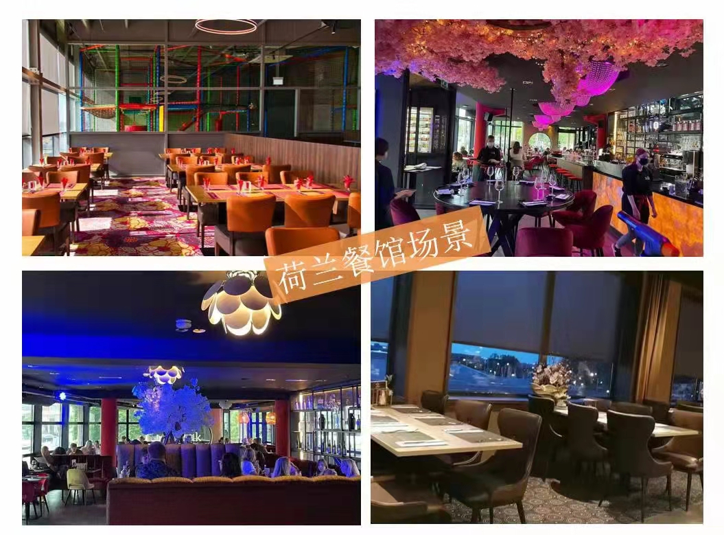 荷兰厨师劳务签证,荷兰厨师签证有回访电话吗