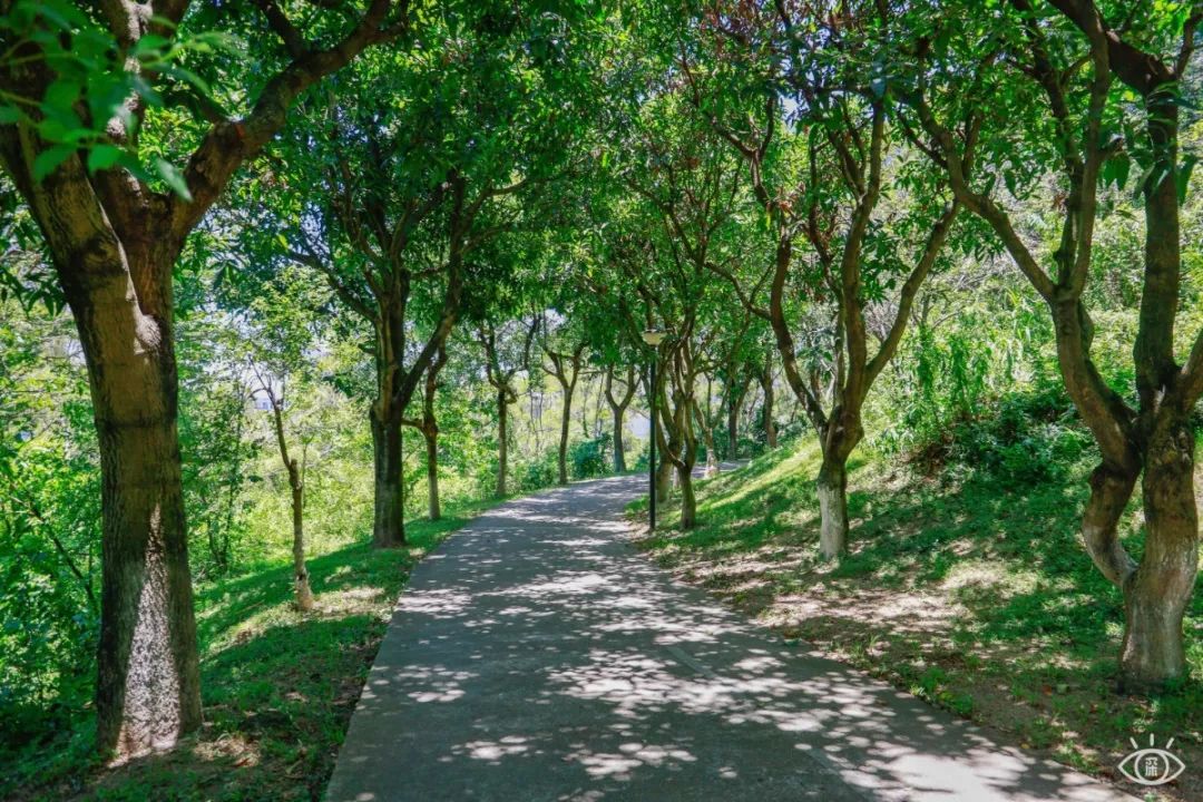 深圳值得去的70个公园你去过几个,深圳最值得去的七大主题公园