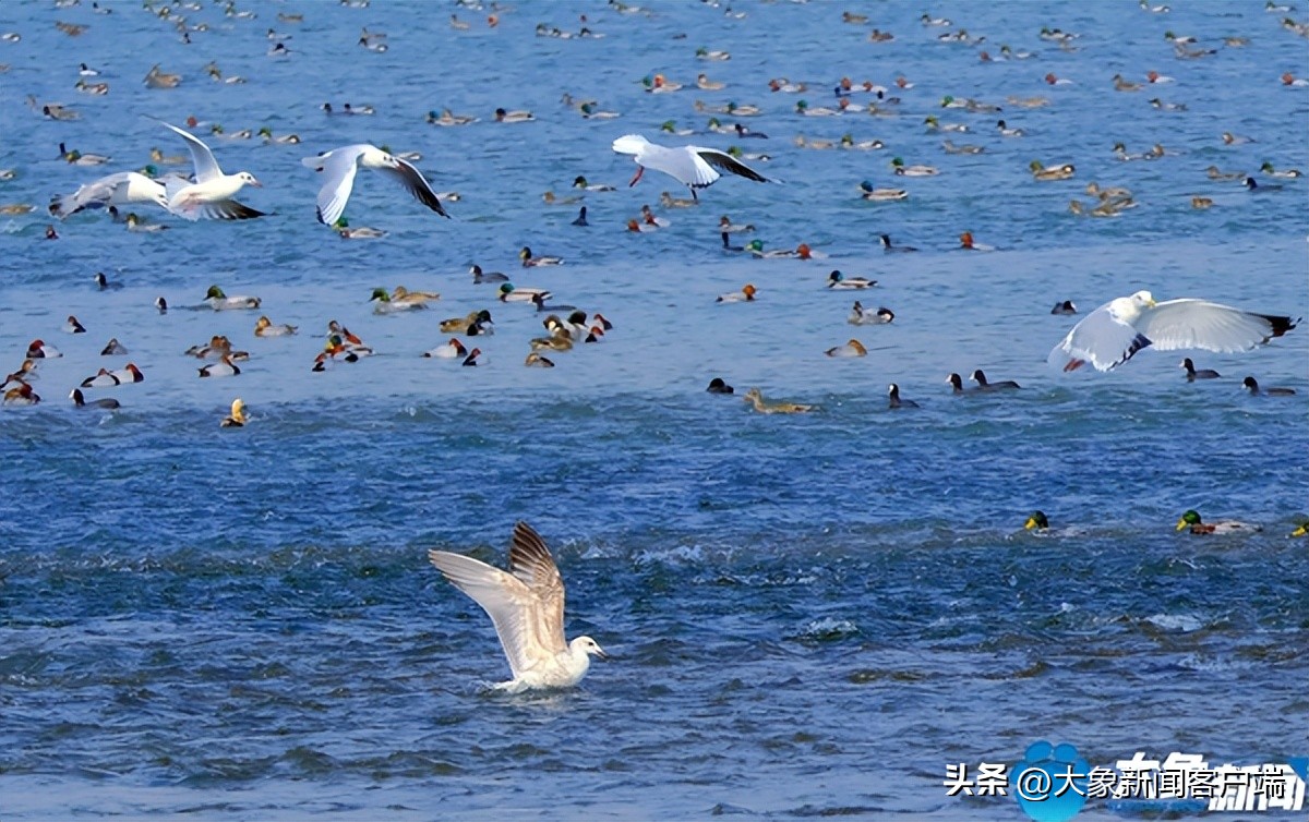 河南省黄河迎宾馆雪景,洛阳春来花似锦