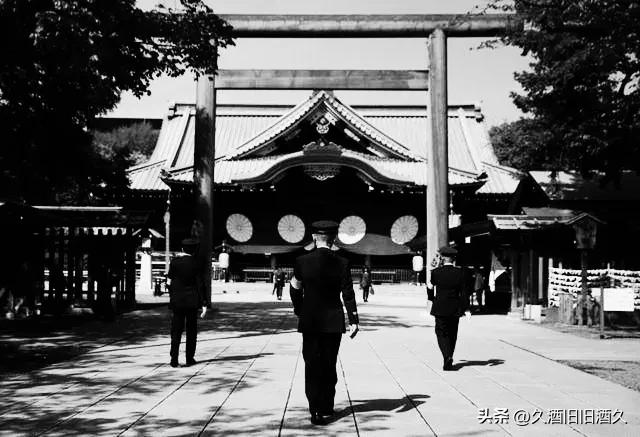 罗刹海市流到台湾了吗,罗刹海市流量是多少