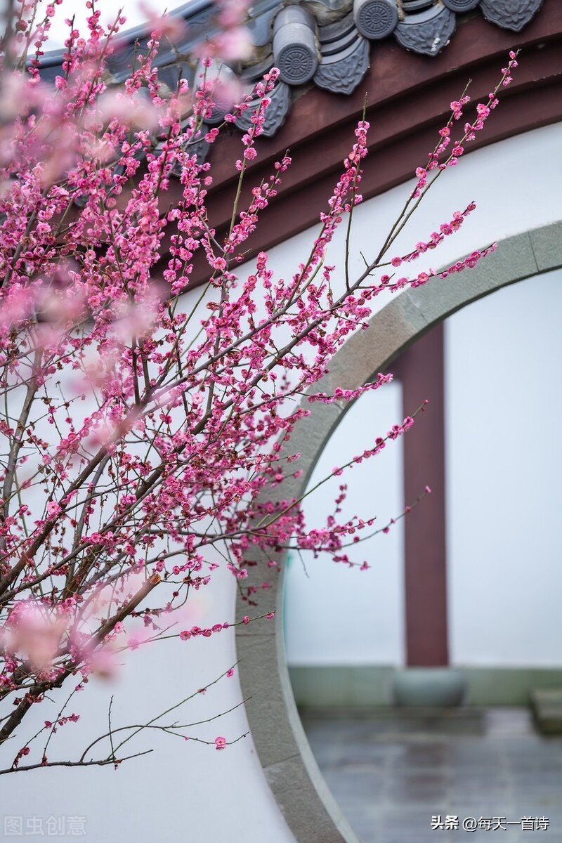 头条上的诗词小组,头条诗词交流小组