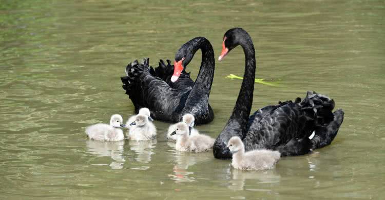 广州长隆酒店童趣乐园,广州游玩长隆性价比超高的酒店