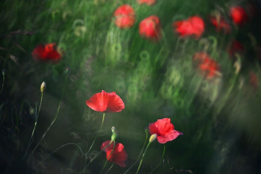 大自然的美景秋天摄影照片,美丽的大自然春夏秋冬图片大全