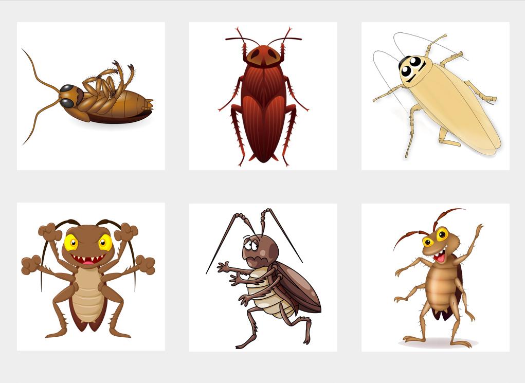 蟑螂为什么生命力顽强踩了都不死,蟑螂为什么踩死后第二天不见了