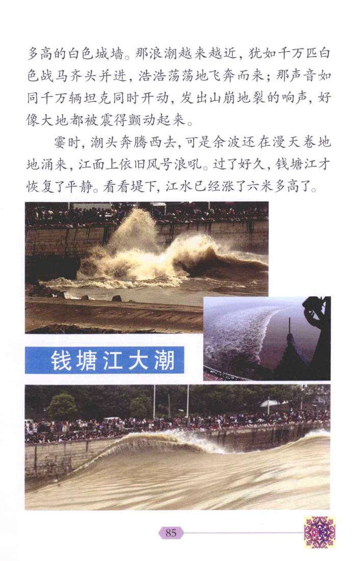 小学四年级课文观潮资料,四年级上册观潮讲了什么