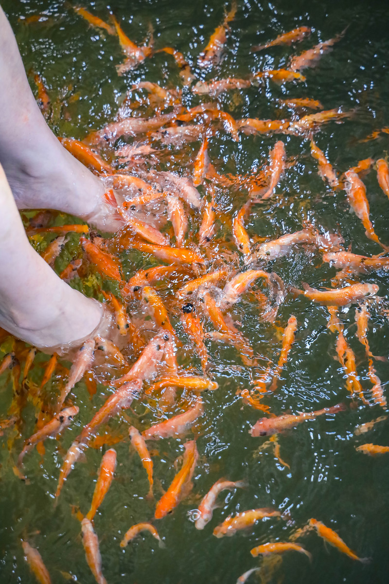 斯里兰卡旅游攻略必去景点,斯里兰卡最佳旅游攻略