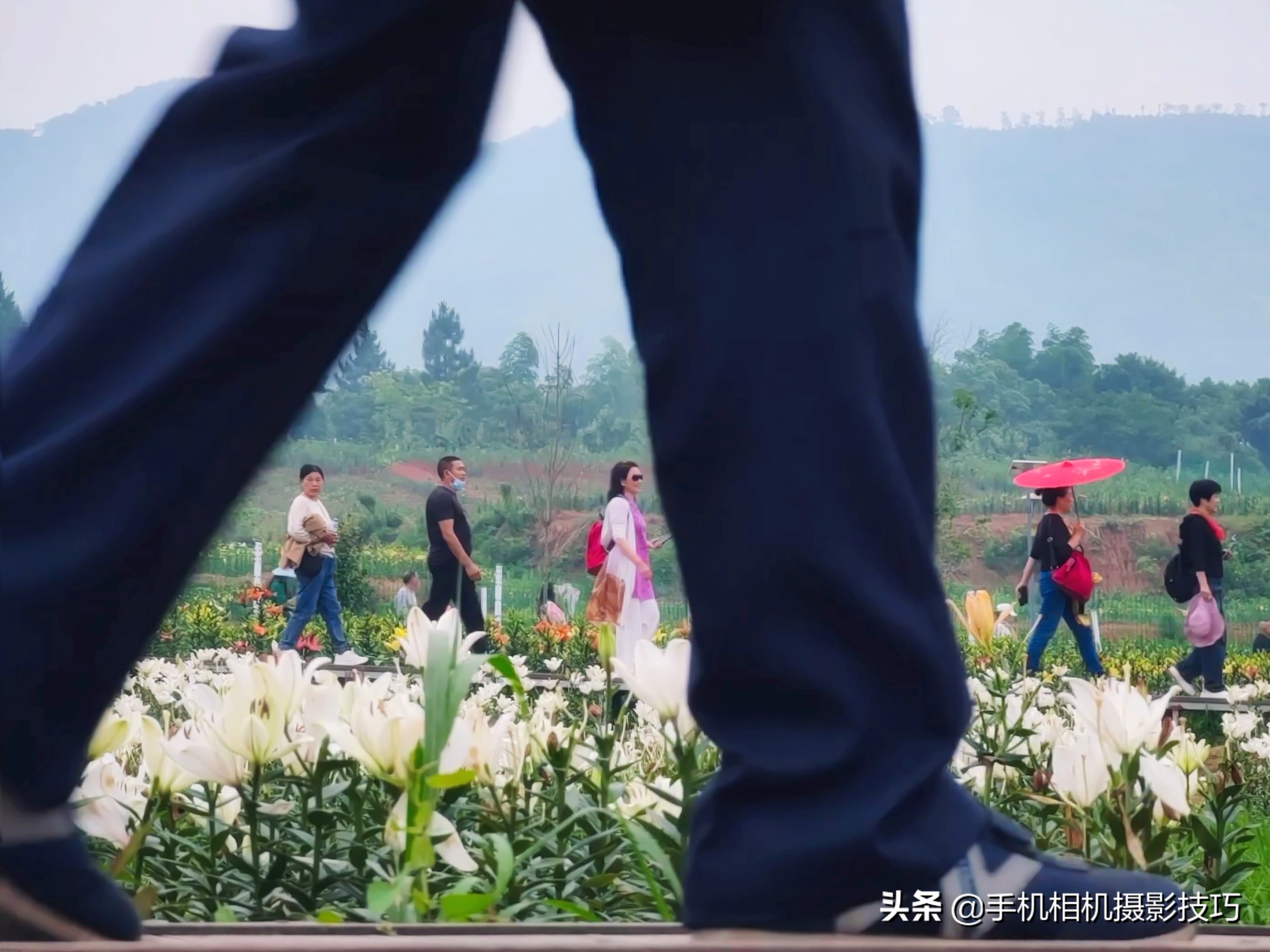 这5张照片怎样才能更好看一点？有的靠后期，有的后期也救不了