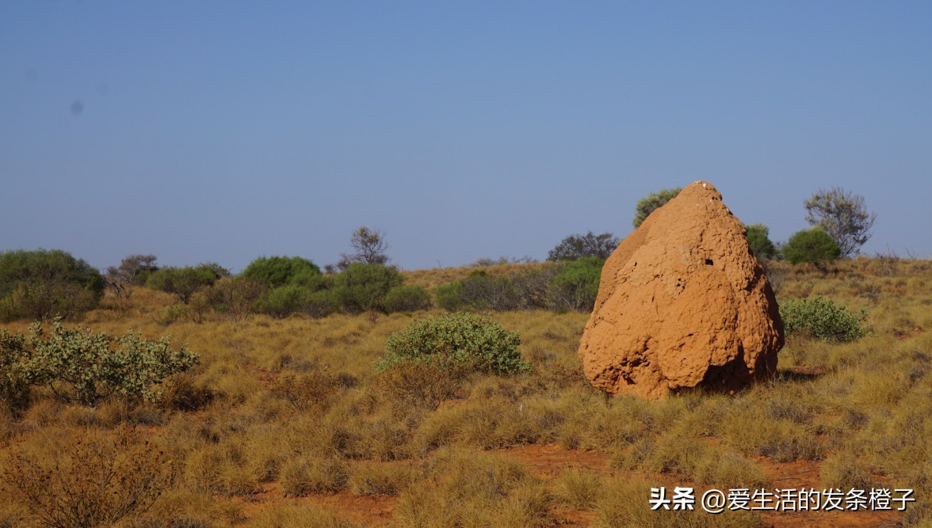 一路向北全程1980公里,西澳自驾游最佳路线图