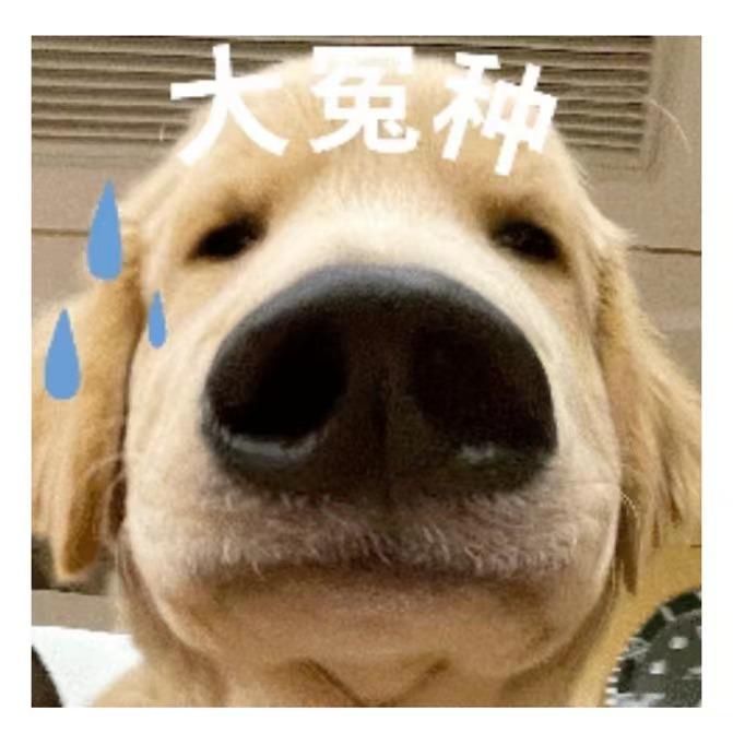 都付过包房费了，找人配唱歌害得花钱？