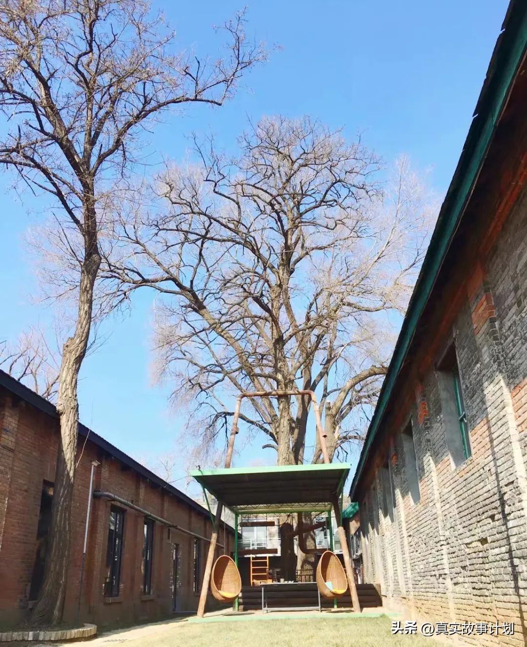 年轻人不出来打工在家啃老,没有工作在家啃老的年轻人多吗