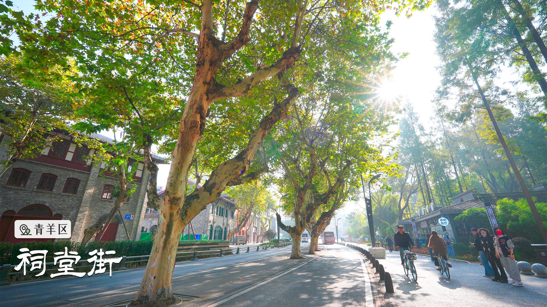 成都周边哪条河边绿道最美,最美回家路满满回忆