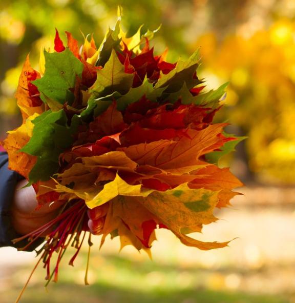 2013年贵州女子1片树叶卖到7000元,36岁贵州女子利用树叶年赚百万