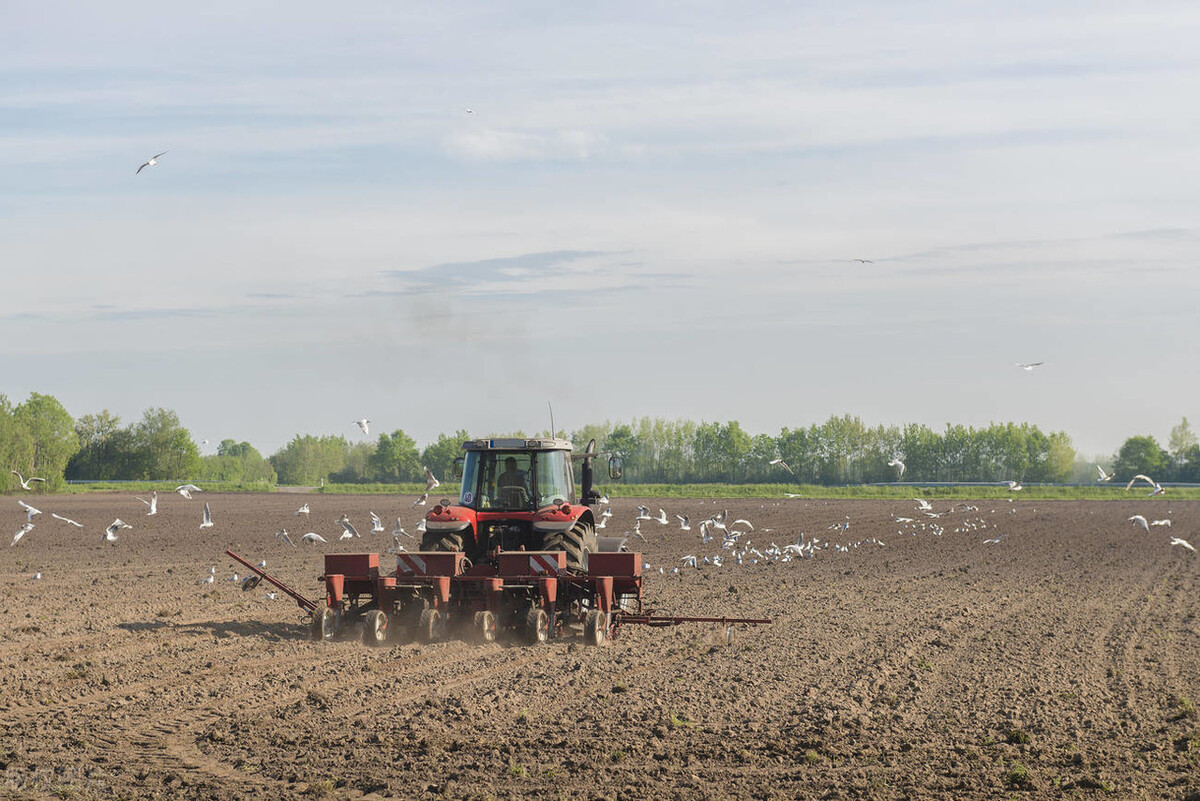 美玉米再便宜也不进口，还口出狂言等我国求购？给美国上了一课！