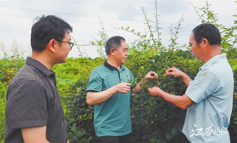 省卫健委主题教育取得的成效,卫生健康局主题教育取得新成效