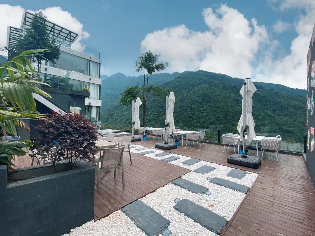 猫咪走太空步原视频最火,猫咪壁虎漫步视频