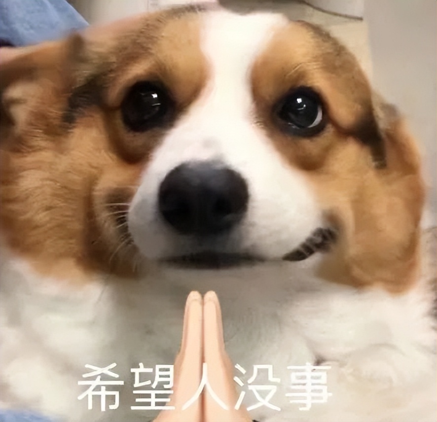 天地壹号醋,天地壹号是苹果醋还是陈醋